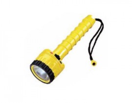 Diving Torch